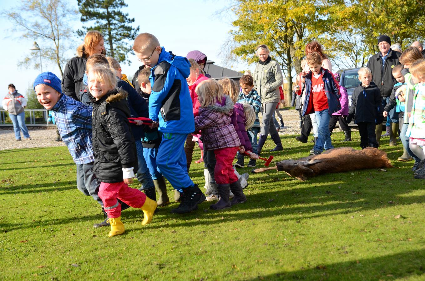 Efterårsferie aktiviteter