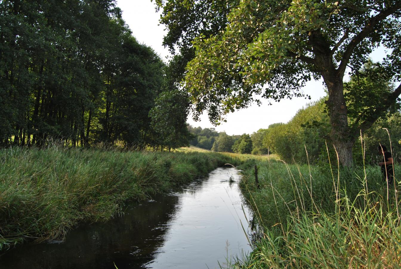 Villestrup Å