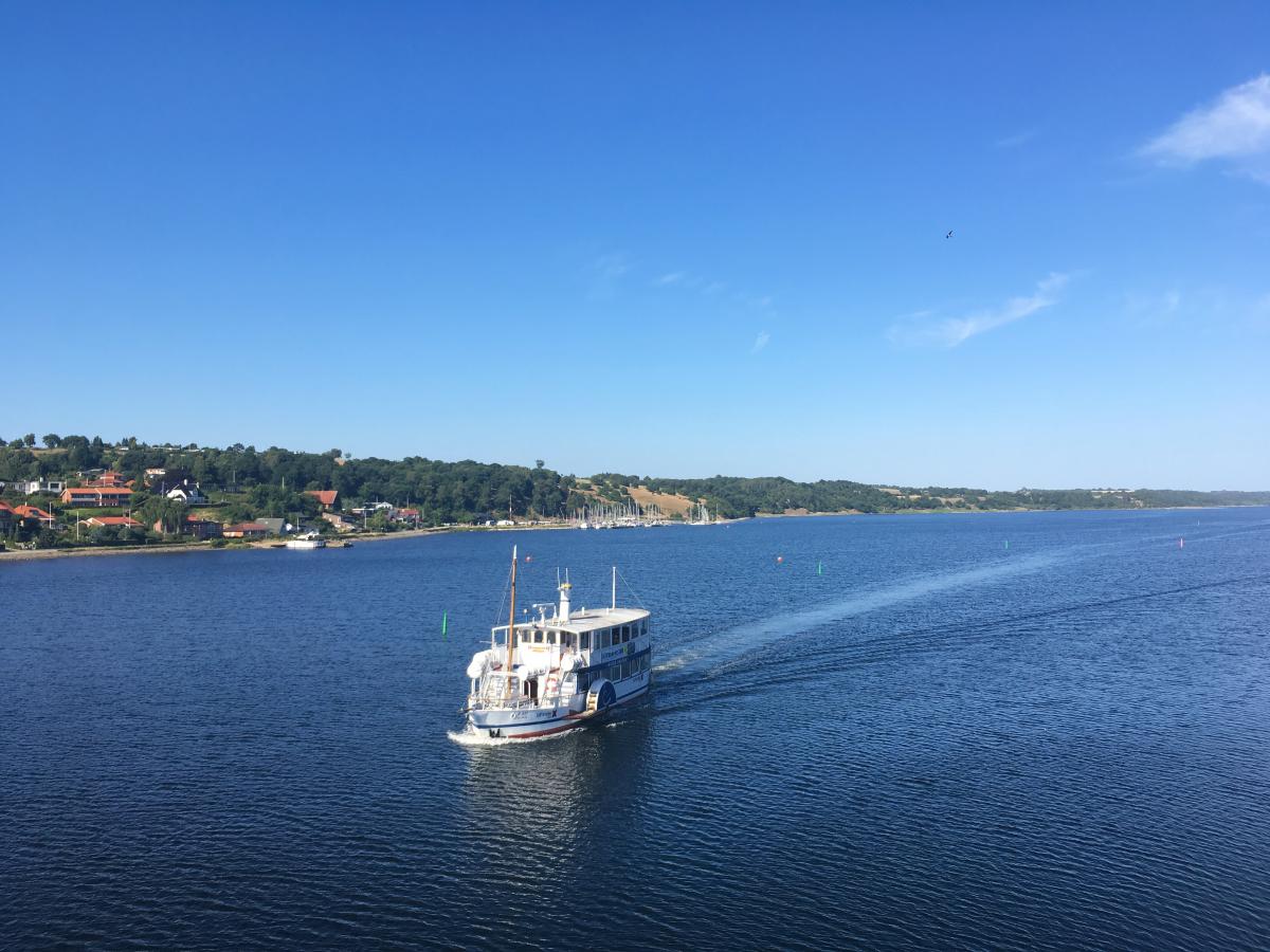 Svanen på Mariager Fjord