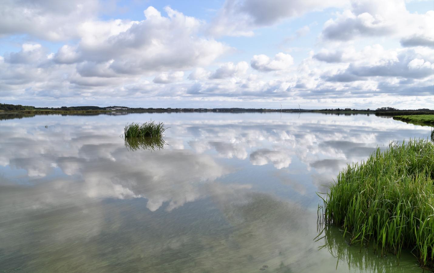 Vilsted Sø