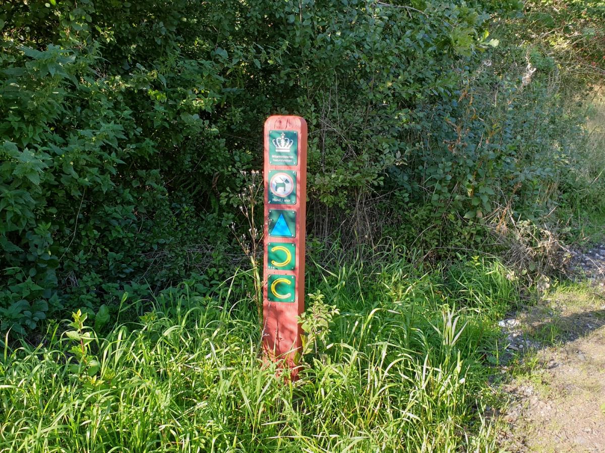 Aars Skov Ridesti