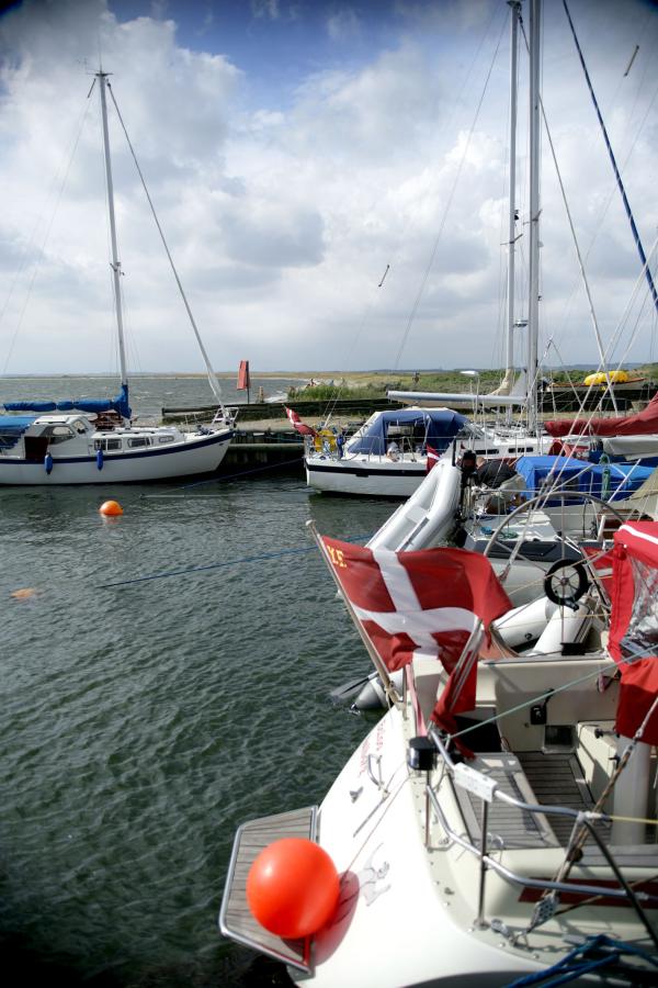 En havn i Limfjorden