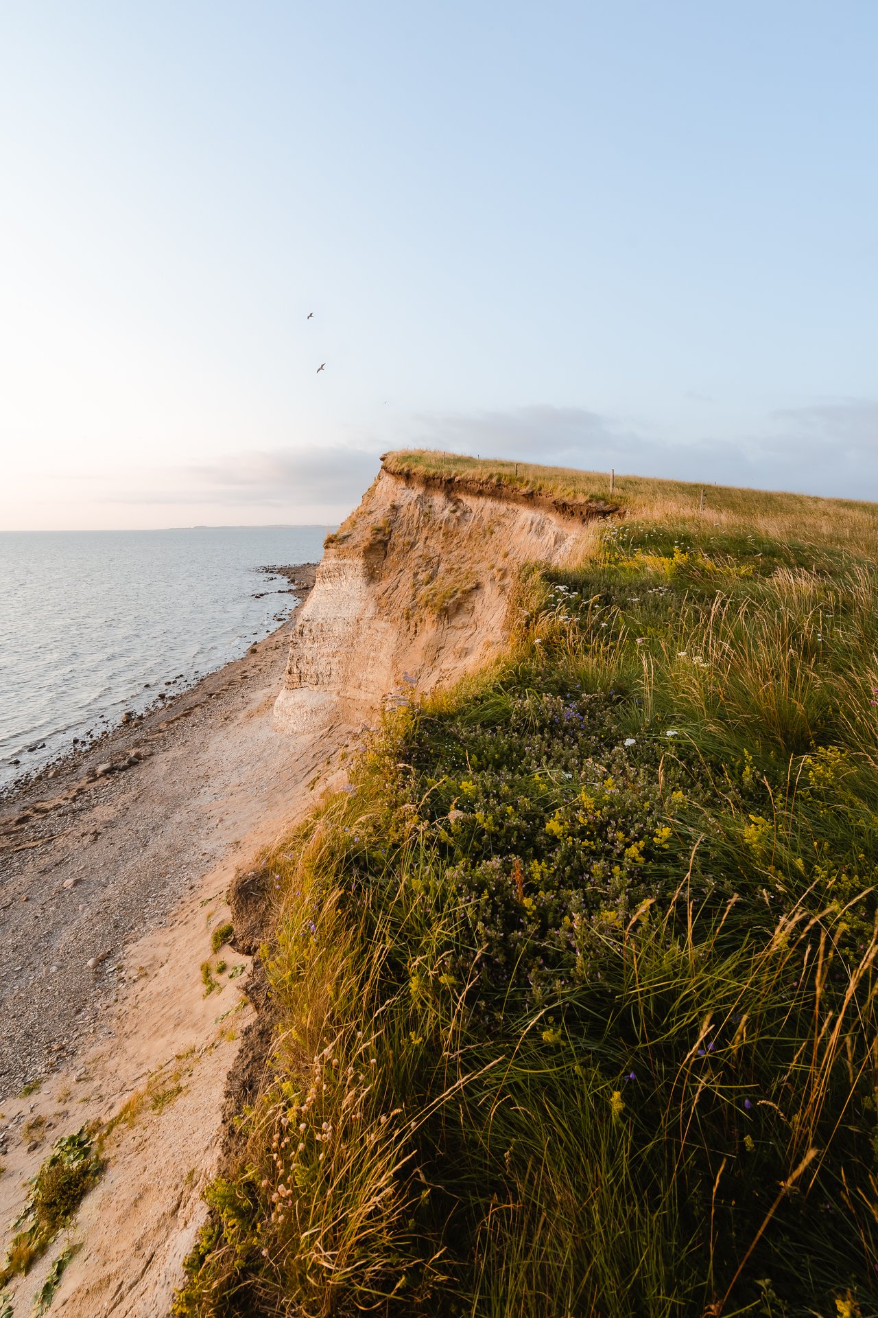 Limfjorden