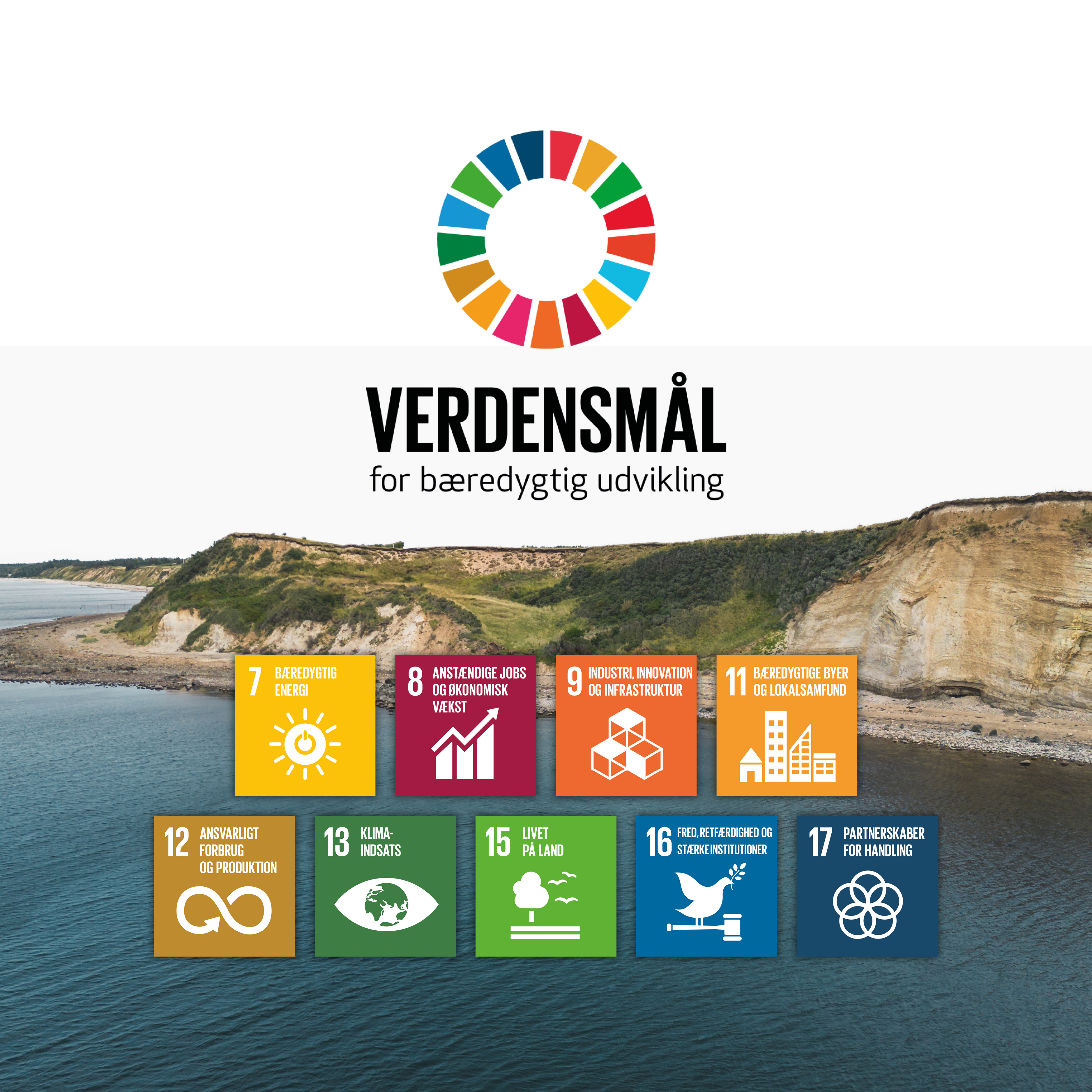 De 17 verdensmål