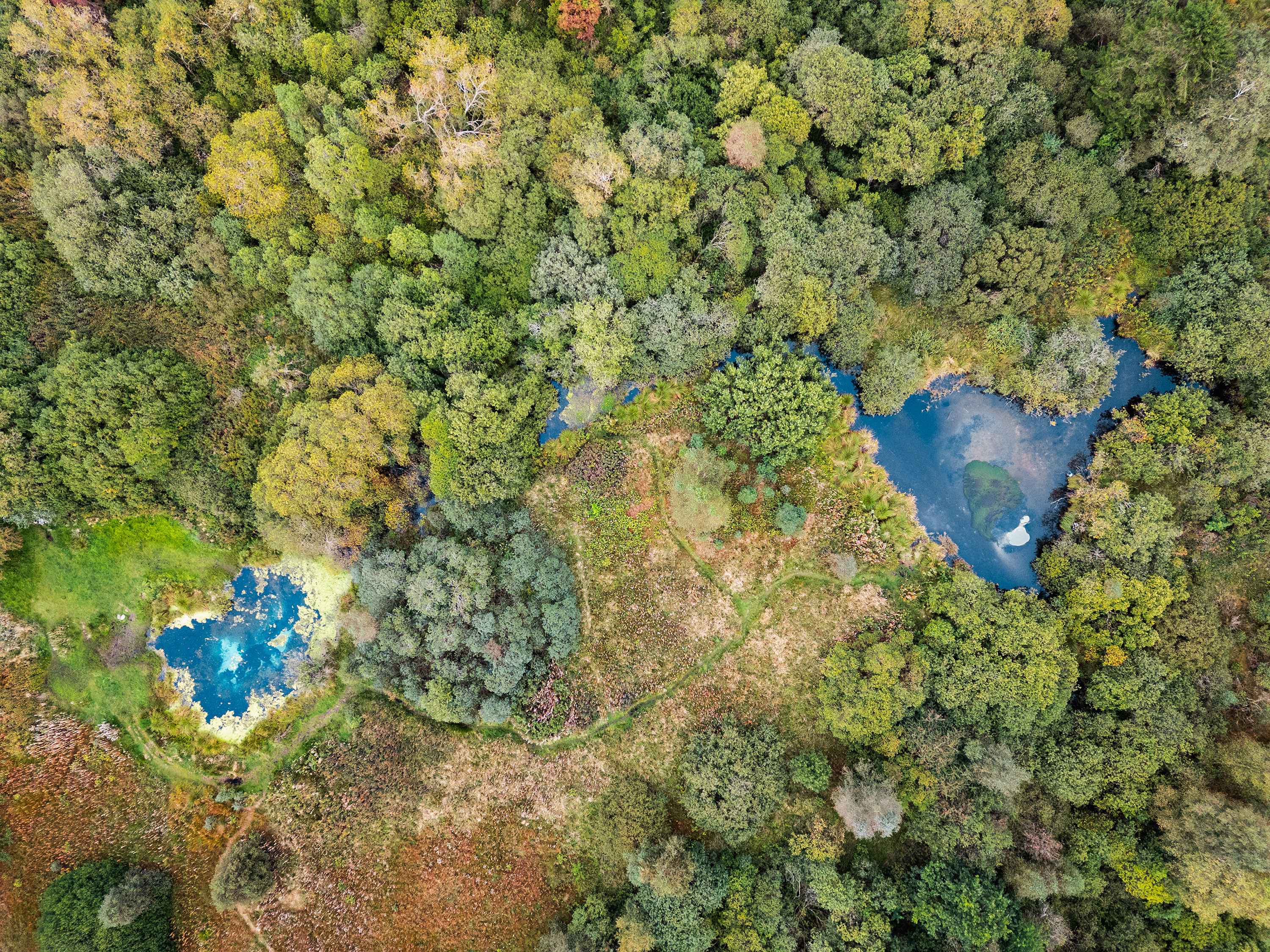 Rold Skov, Store Blåkilde