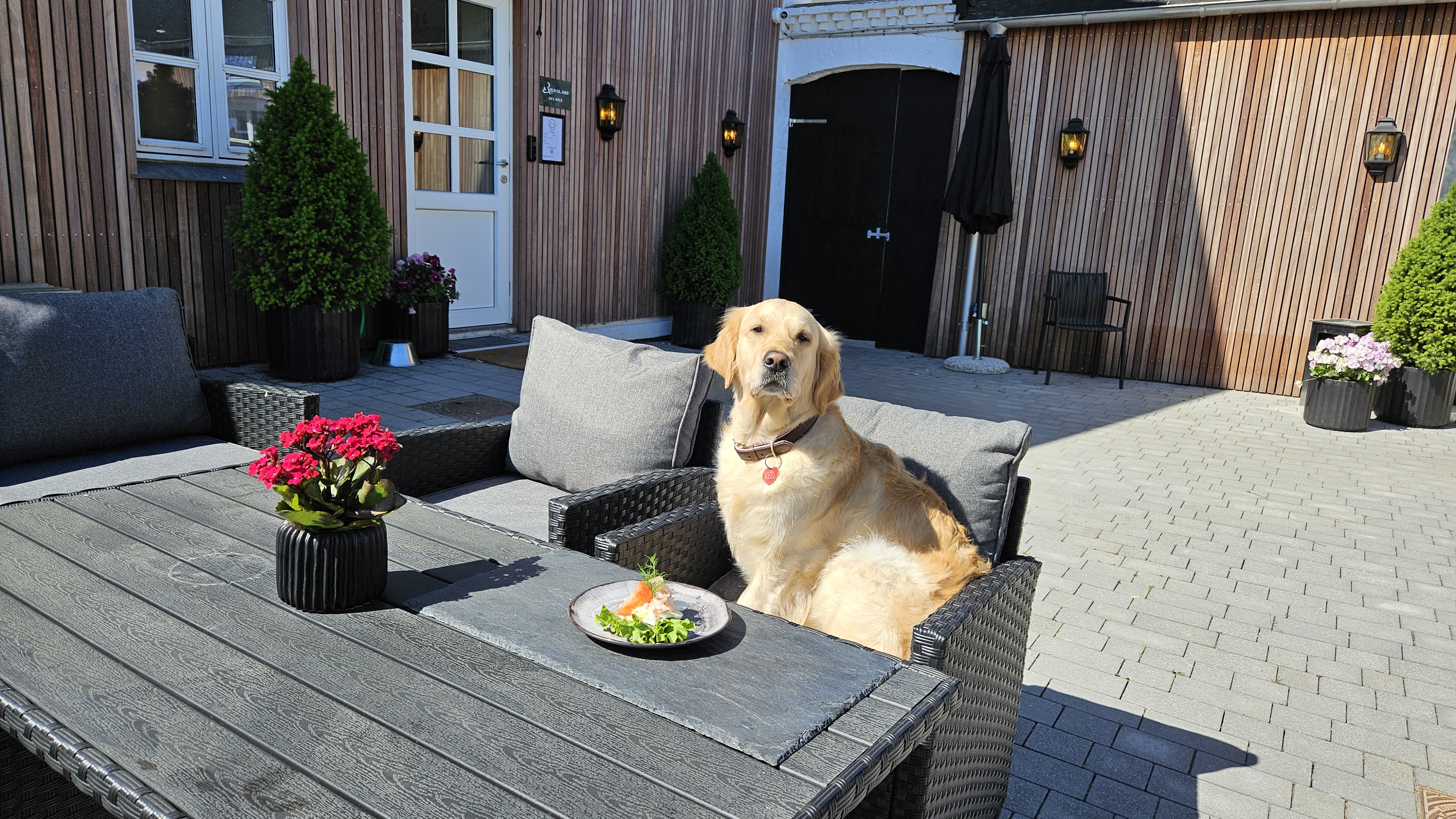 Rold Gl. Kro, hundekroen, ferie med hund