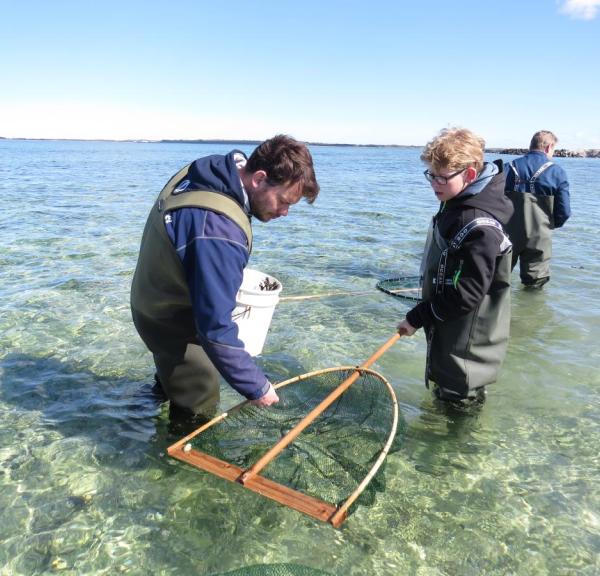 Sommeraktiviteter ved Limfjordsmuseet