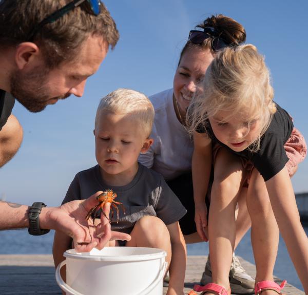 Oplevelser for hele familien