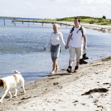 Ferie med hund