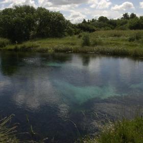 Store Blåkilde i Rold Skov