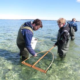 Sommeraktiviteter ved Limfjordsmuseet