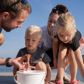 Oplevelser for hele familien