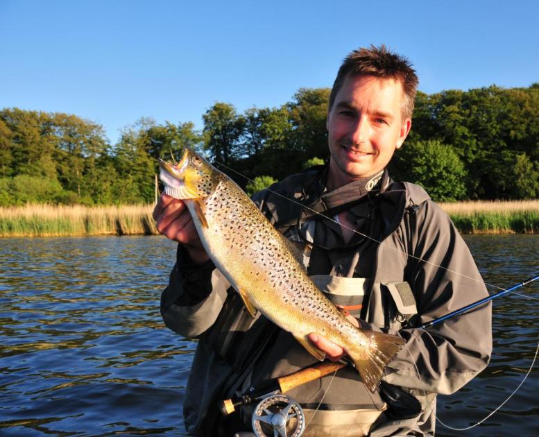 Seatrout Mariagerfjord - lystfiskeri ved Mariager Fjord