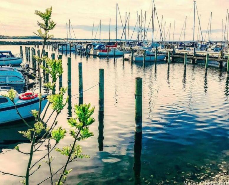 Hvalpsund Lystbådehavn