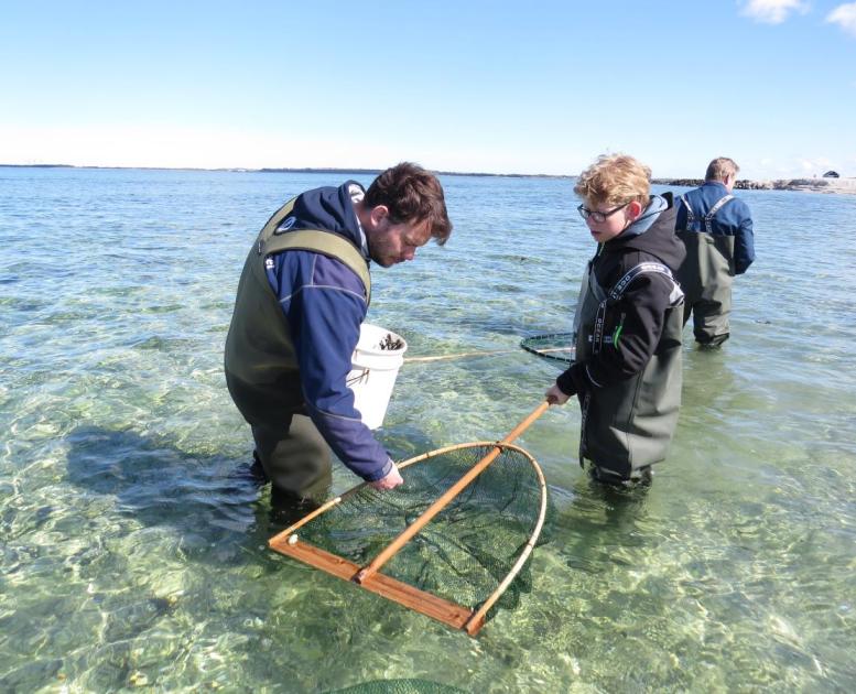 Sommeraktiviteter ved Limfjordsmuseet