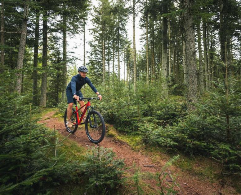 MTB i Uhrehøj