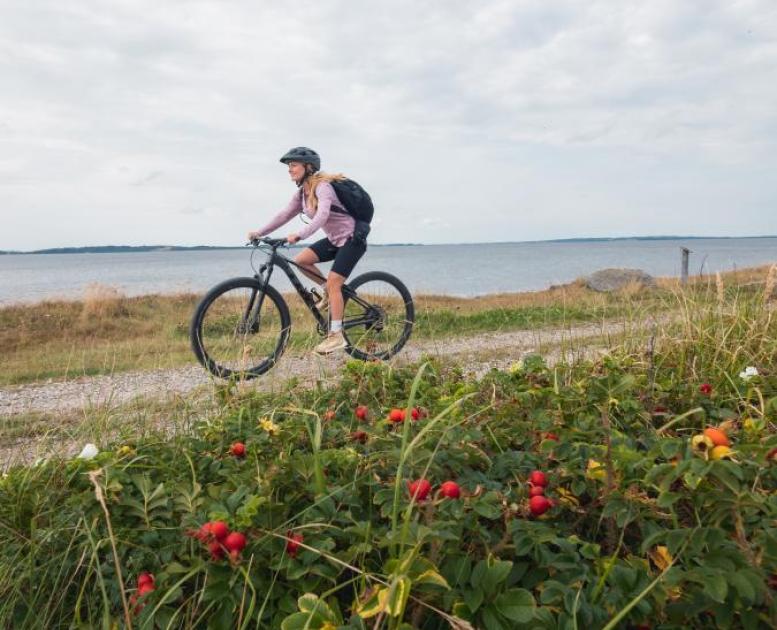 På cykel ved Limfjorden