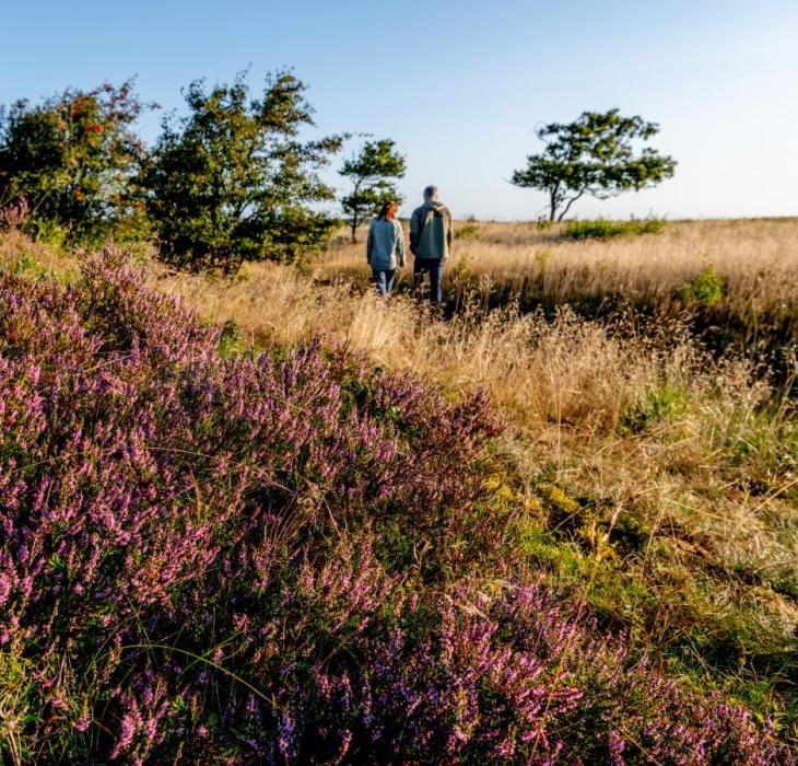 Vandring i Himmerland